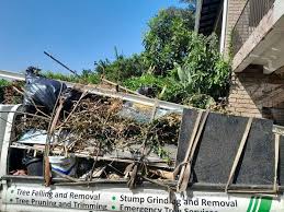 Best Dumpster Rental Services  in Sun Prairie, MT